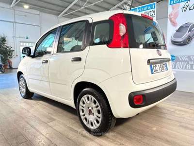 Fiat Panda 1.2 EasyPower GPL Easy Bianco usata Roma