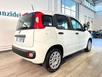 Fiat Panda 1.2 EasyPower GPL Easy Bianco usata Roma