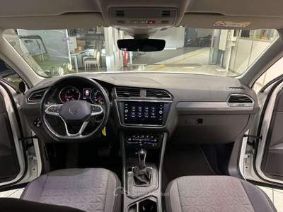 Volkswagen Tiguan 2.0 TDI 150 CV DSG Life UNICO PROPRIETARIO IVA ESP Bianco usata Monza