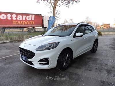 Ford Kuga EcoBlue Hybrid 150 CV 2WD ST-Line X Bianco usata Spilamberto