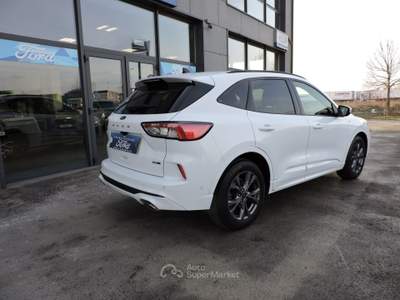Ford Kuga EcoBlue Hybrid 150 CV 2WD ST-Line X Bianco usata Spilamberto