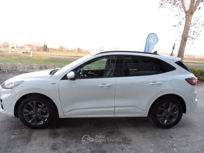 Ford Kuga EcoBlue Hybrid 150 CV 2WD ST-Line X Bianco usata Spilamberto