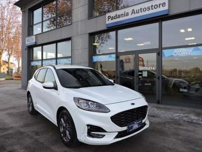 Ford Kuga EcoBlue Hybrid 150 CV 2WD ST-Line X Bianco usata Spilamberto