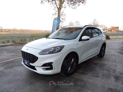 Ford Kuga EcoBlue Hybrid 150 CV 2WD ST-Line X Bianco usata Spilamberto