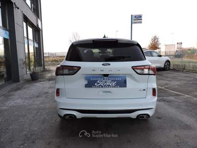 Ford Kuga EcoBlue Hybrid 150 CV 2WD ST-Line X Bianco usata Spilamberto