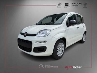 Fiat Pandina 1.0 Hybrid ICON Radio Clima 5P **AKTION** Bianco usata Chiusa