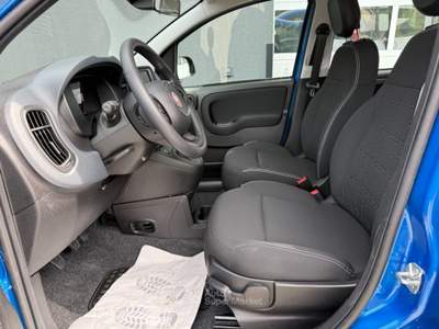 Fiat Pandina 1.0 Hybrid ICON Radio Clima 5P **AKTION** Blu/Azzurro usata Chiusa