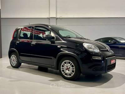 Fiat Panda Panda1.0 firefly hybrid City Life *PREZZO PROMO* Nero usata Settimo Torinese