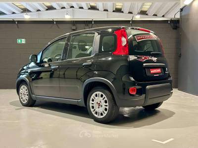 Fiat Panda Panda1.0 firefly hybrid City Life *PREZZO PROMO* Nero usata Settimo Torinese