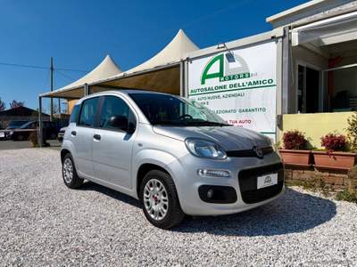 Fiat Panda Panda 1.3 MJT 95 CV S&S Easy Argento usata Massa