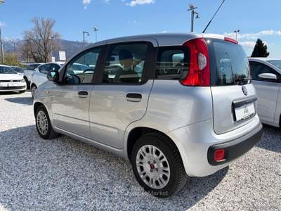 Fiat Panda Panda 1.3 MJT 95 CV S&S Easy Argento usata Massa