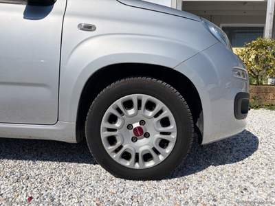 Fiat Panda Panda 1.3 MJT 95 CV S&S Easy Argento usata Massa