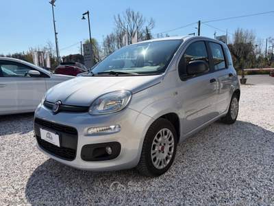 Fiat Panda Panda 1.3 MJT 95 CV S&S Easy Argento usata Massa