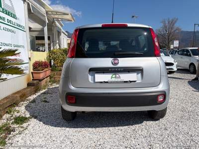 Fiat Panda Panda 1.3 MJT 95 CV S&S Easy Argento usata Massa