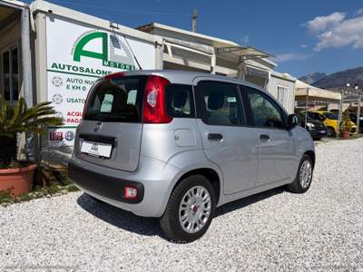 Fiat Panda Panda 1.3 MJT 95 CV S&S Easy Argento usata Massa
