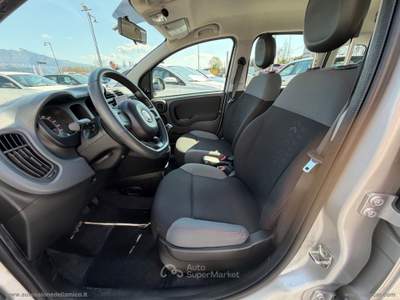 Fiat Panda Panda 1.3 MJT 95 CV S&S Easy Argento usata Massa