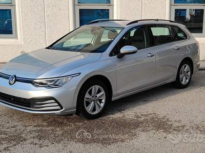 Volkswagen Golf VIII Variant 2.0 TDI 115CV usata Pordenone
