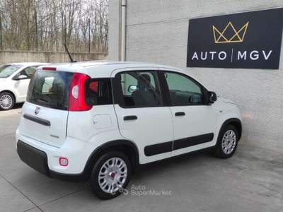 Fiat Panda Panda 1.0 firefly hybrid City Life s&s 70cv *PROMO Bianco usata La Loggia