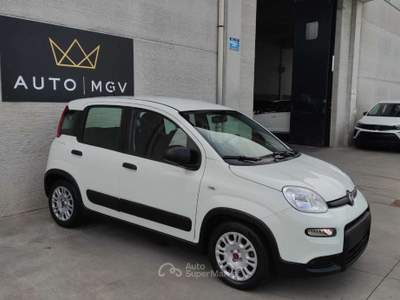 Fiat Panda Panda 1.0 firefly hybrid City Life s&s 70cv *PROMO Bianco usata La Loggia