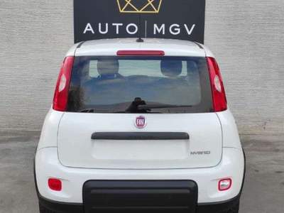 Fiat Panda Panda 1.0 firefly hybrid City Life s&s 70cv *PROMO Bianco usata La Loggia