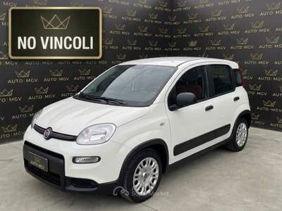 Fiat Panda Panda 1.0 firefly hybrid City Life s&s 70cv *PROMO Bianco usata La Loggia