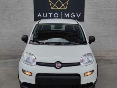 Fiat Panda Panda 1.0 firefly hybrid City Life s&s 70cv *PROMO Bianco usata La Loggia