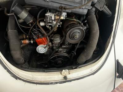 Volkswagen Maggiolino Cabriolet Bianco usata Sestri Levante