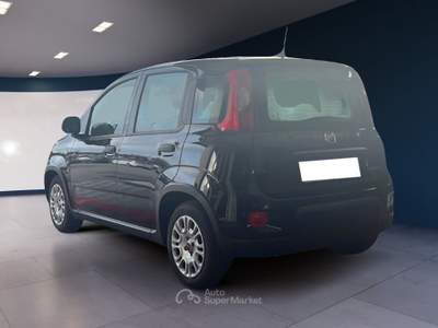 Fiat Panda Panda 1.0 FireFly 70cv S&S Hybrid usata Pordenone