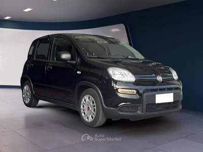 Fiat Panda Panda 1.0 FireFly 70cv S&S Hybrid usata Pordenone