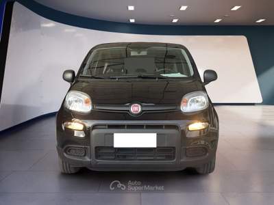 Fiat Panda Panda 1.0 FireFly 70cv S&S Hybrid usata Pordenone