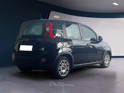 Fiat Panda Panda 1.0 FireFly 70cv S&S Hybrid usata Pordenone