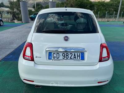Fiat 500 1.2 GPL Bianco usata Aquino