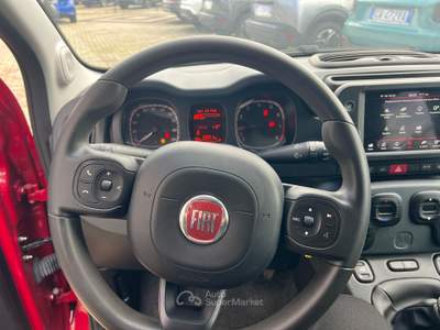 Fiat Panda SICIL CAR SRLS usata San Gregorio di Catania