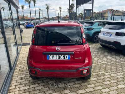 Fiat Panda SICIL CAR SRLS usata San Gregorio di Catania