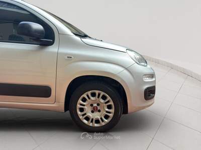 Fiat Panda Panda 1.2 Easy Grigio usata Torino