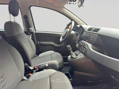 Fiat Panda Panda 1.2 Easy Grigio usata Torino