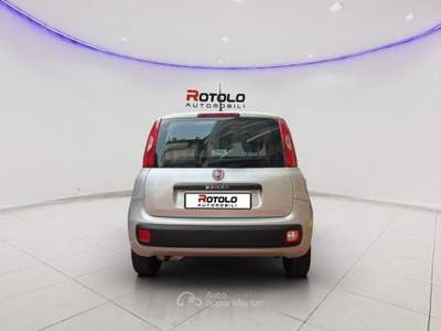 Fiat Panda Panda 1.2 Easy Grigio usata Torino