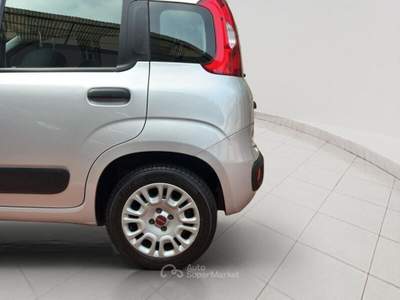 Fiat Panda Panda 1.2 Easy Grigio usata Torino