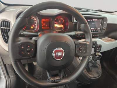 Fiat Panda Panda Cross 1.0 FireFly S&S Hybrid usata Torino