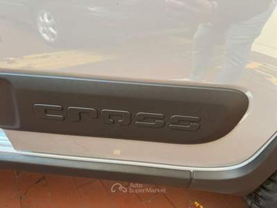 Fiat Panda Panda Cross 1.0 FireFly S&S Hybrid usata Torino