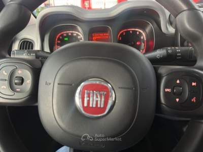 Fiat Panda Panda Cross 1.0 FireFly S&S Hybrid usata Torino