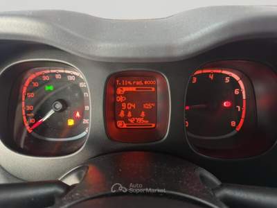 Fiat Panda Panda Cross 1.0 FireFly S&S Hybrid usata Torino