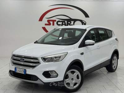 Ford Kuga S&S 2WD Business Bianco usata Caresanablot