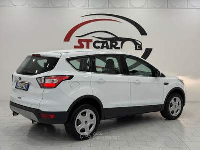 Ford Kuga S&S 2WD Business Bianco usata Caresanablot