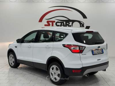 Ford Kuga S&S 2WD Business Bianco usata Caresanablot