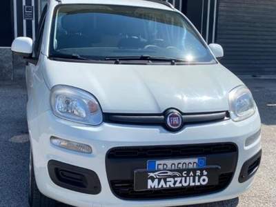 Fiat Panda  Bianco usata Eboli