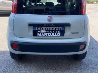 Fiat Panda  Bianco usata Eboli