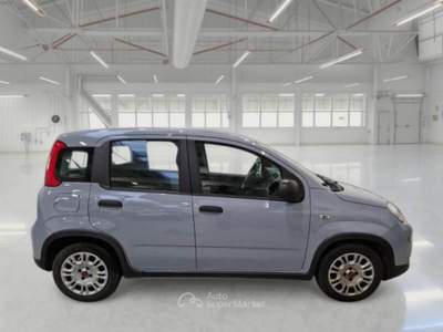 Fiat Panda Unicoproprietario Grigio usata SAN MARTINO BUON ALBERGO