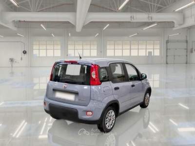 Fiat Panda Unicoproprietario Grigio usata SAN MARTINO BUON ALBERGO