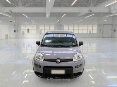 Fiat Panda Unicoproprietario Grigio usata SAN MARTINO BUON ALBERGO